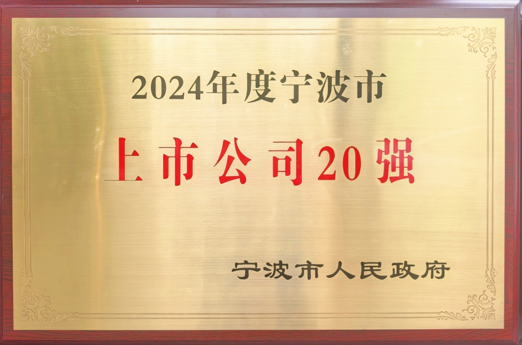 凯发k8一触即发股份荣登“2024宁波上市公司20强”榜单